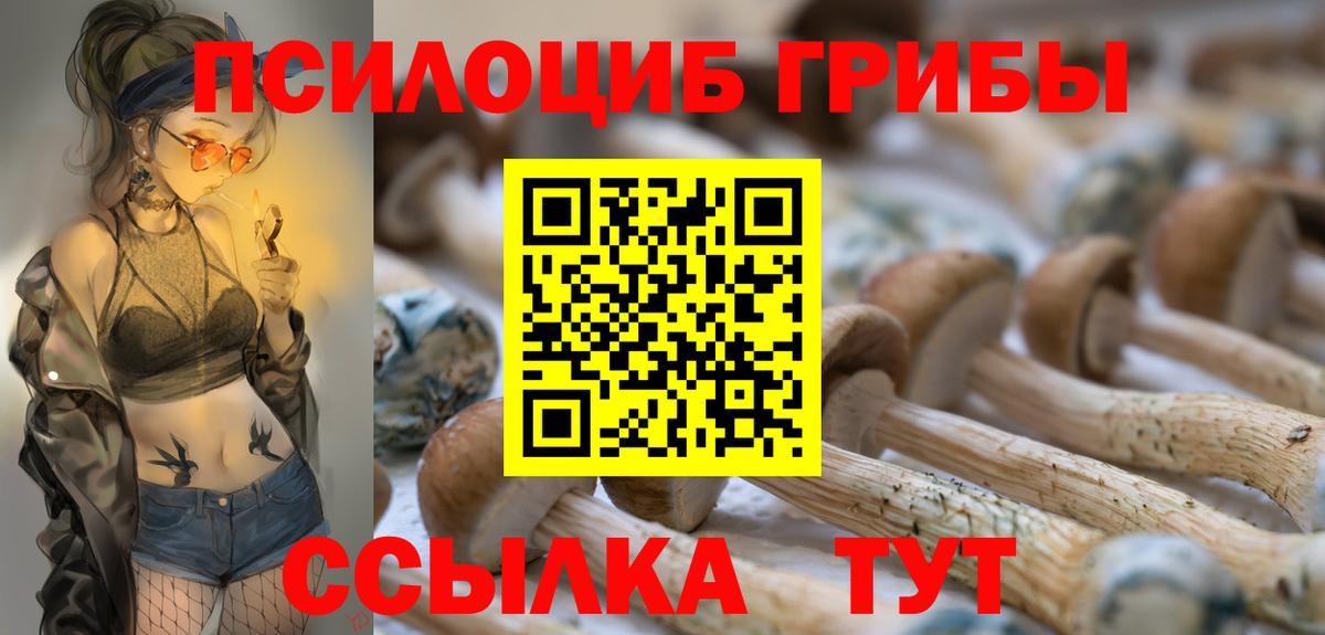 Галлюциногенные грибы мухоморы  Вход с VPN  Псилоцибиновые грибы Psilocybe  Сочи 
